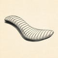 Ribbed Cobra Seat
